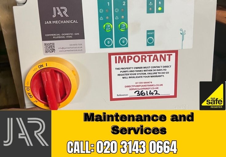 Domestic Maintenance and Services Battersea